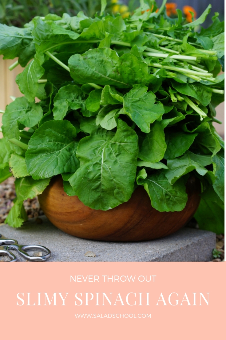 Slimy Spinach.jpg