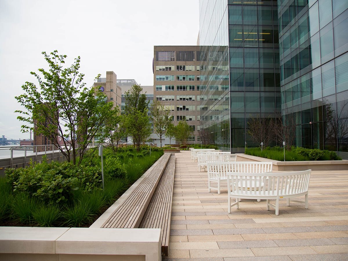 NYU-Langone-Landscaped-Terrace.jpg