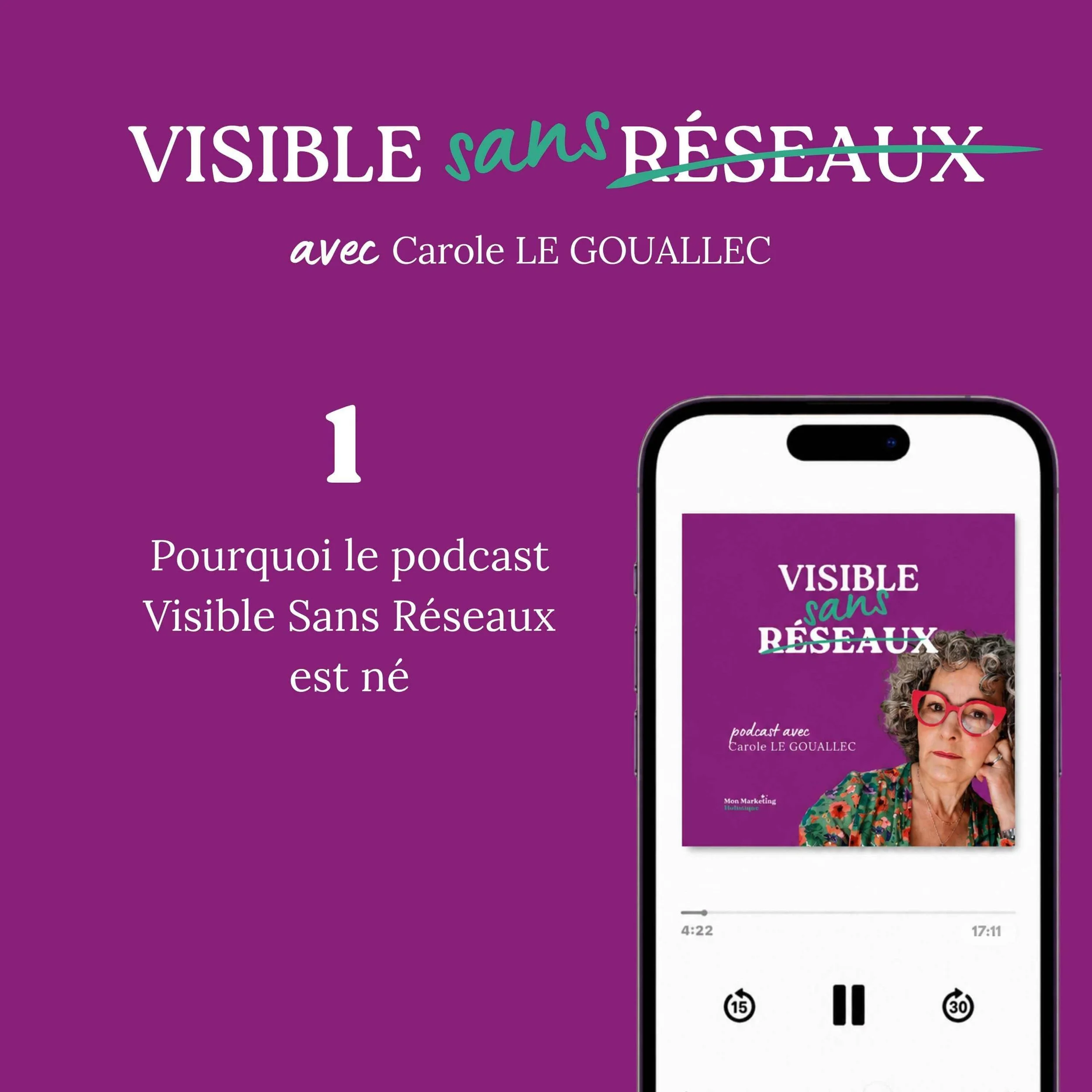 01-Pourquoi le podcast Visible sans réseaux est né