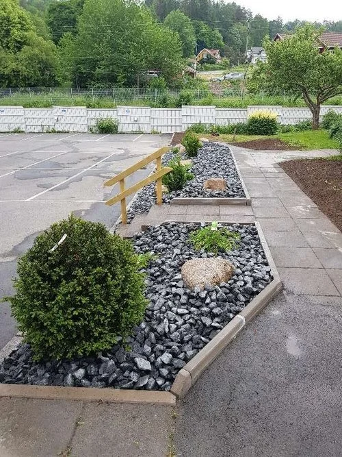 20180604_112125.jpg