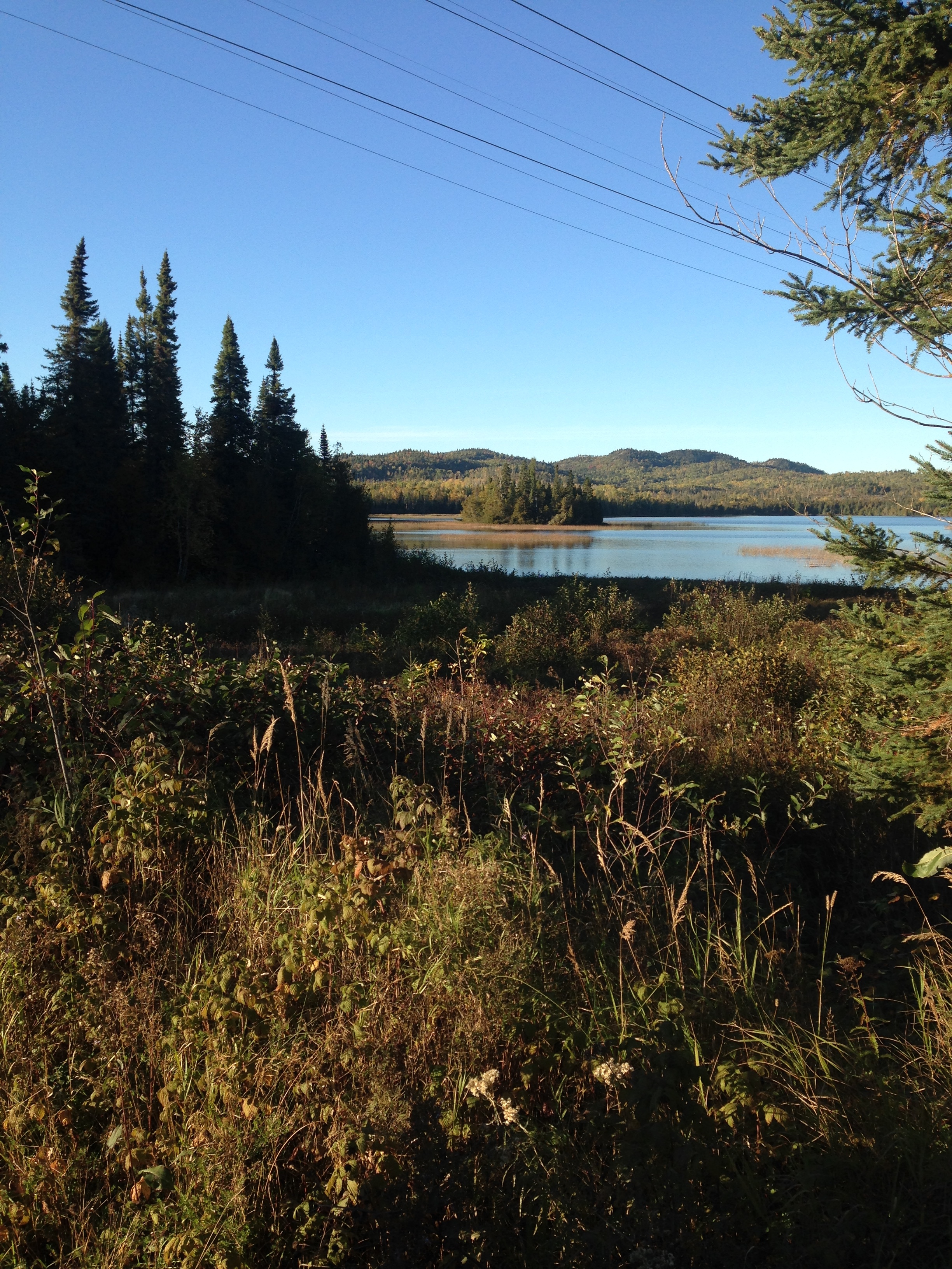 IMG_1265.jpeg