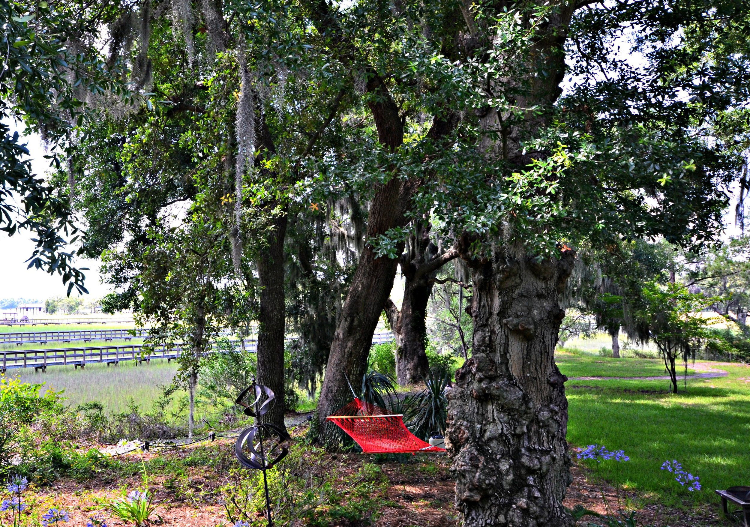 Backyard Hammock