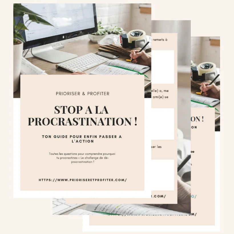 Mockup+stop+%C3%A0+la+procrastination.jpg