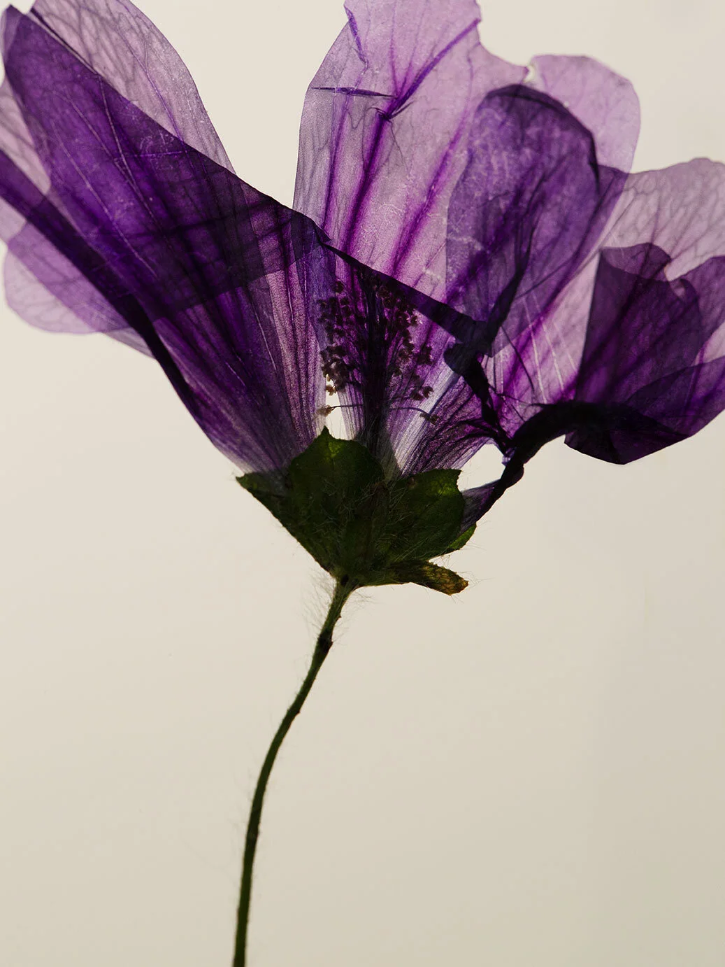 Vogue Turquie