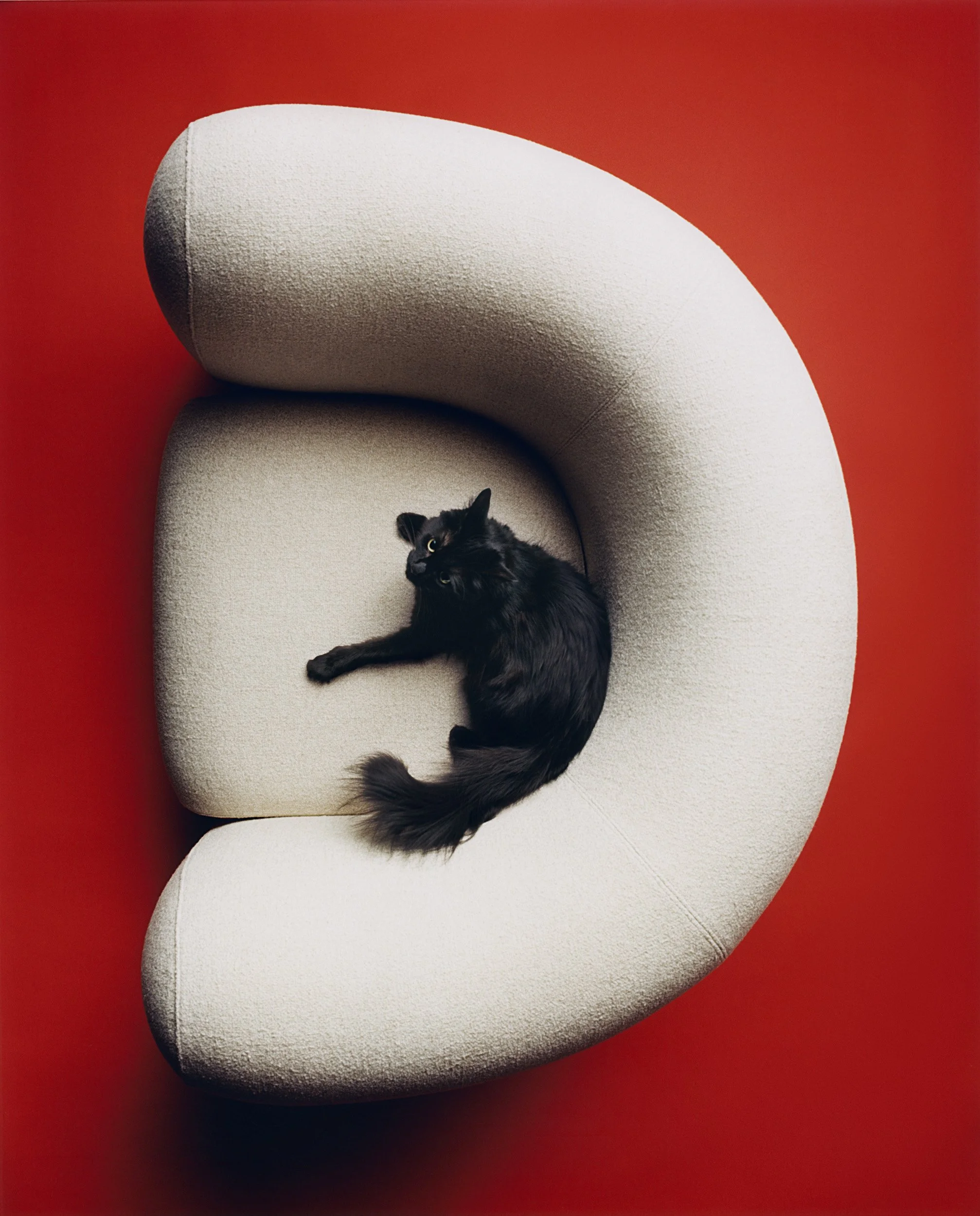 M le monde spécial design