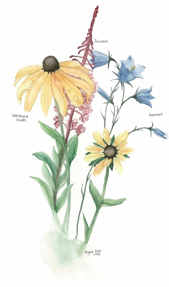 Wildflowers & Artistic Identity