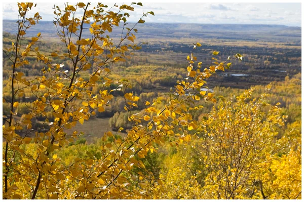Plein Air Painting at Bear Mountain Wind Park
