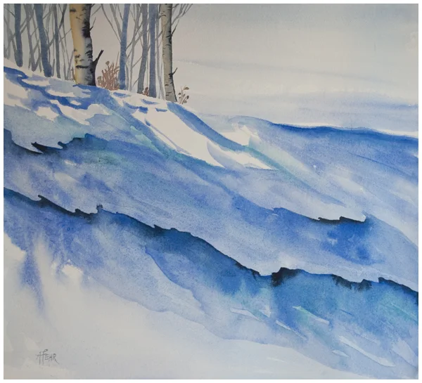 Snow Studies in the Peace River Region