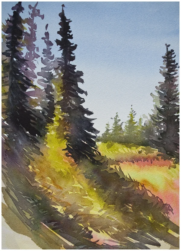 Landscape Course Launch: A Limited Time Offer Code