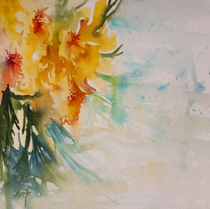 2015 Hope For Women Campaign Update