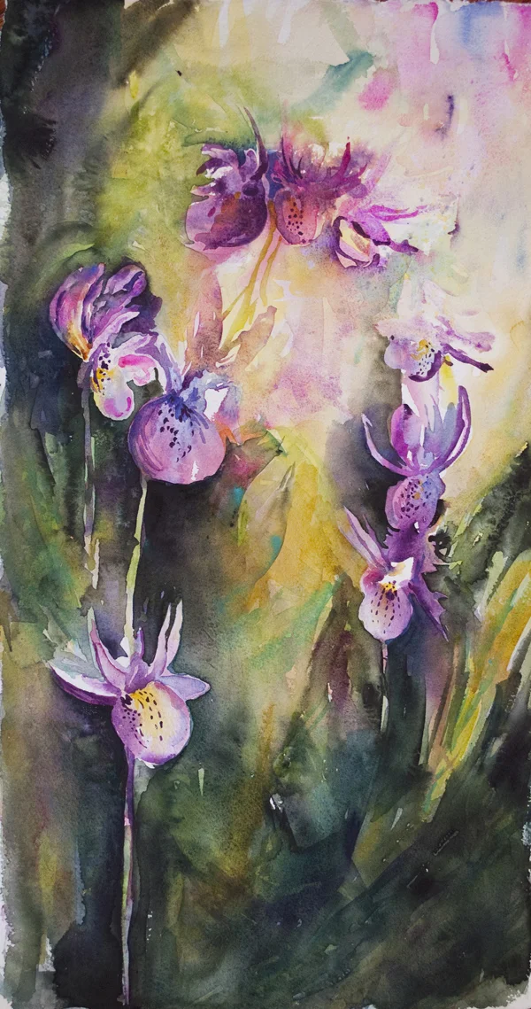 Painting of the Month: Final Offer for June's "Calypsos"