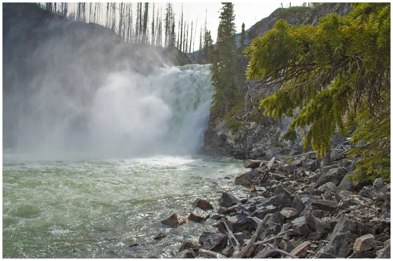 A Trip into the Wilderness