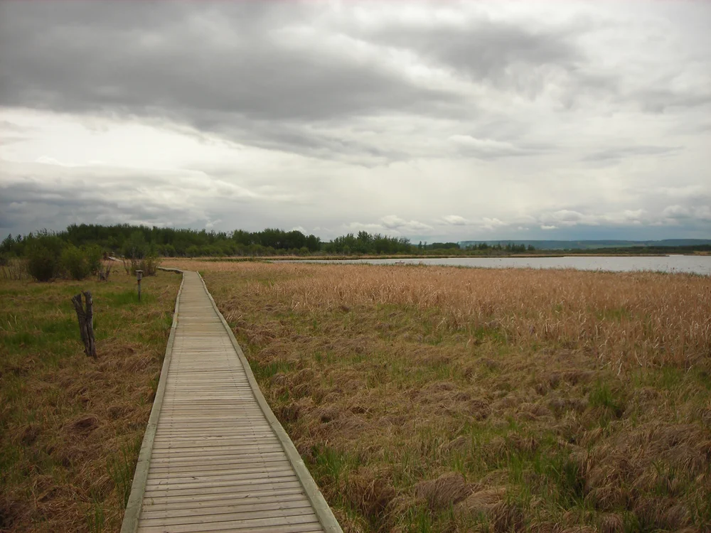 Diving in and Getting a Painting Completed