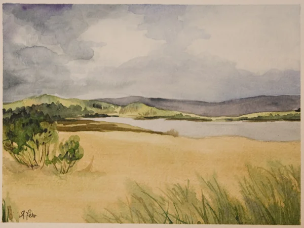 McQueen's Slough in Spring