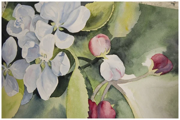 Apple Blossoms in Fifteen Minutes a Day