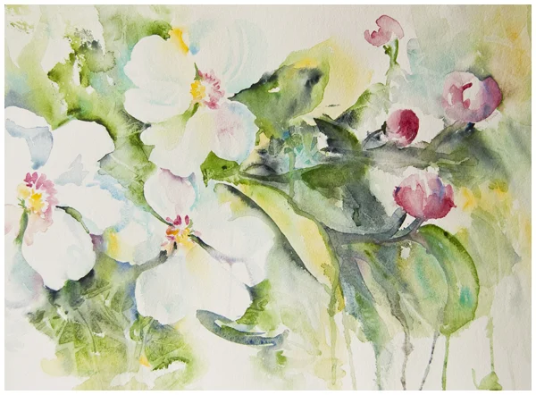 Apple Blossoms in Watercolor