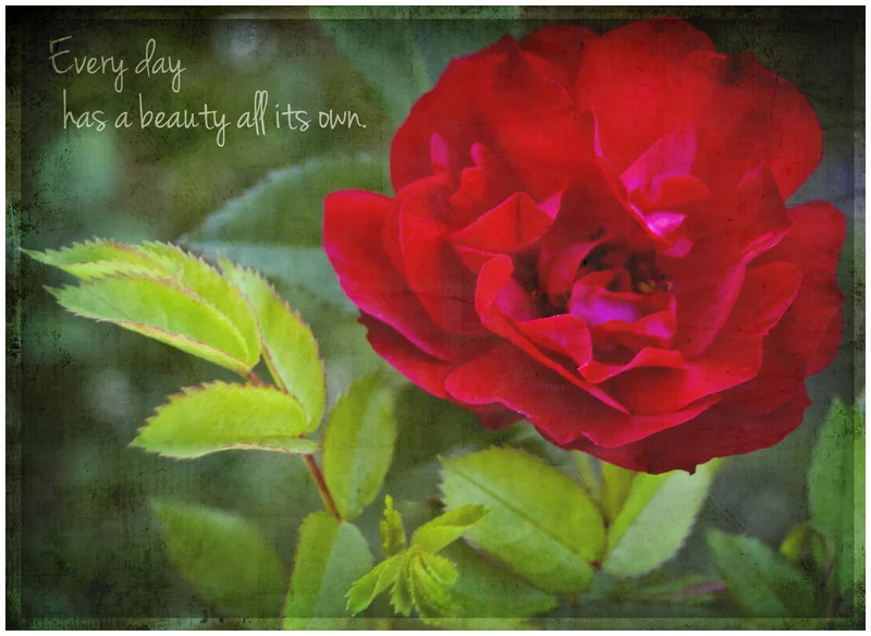 Painting Pretty and a Rose