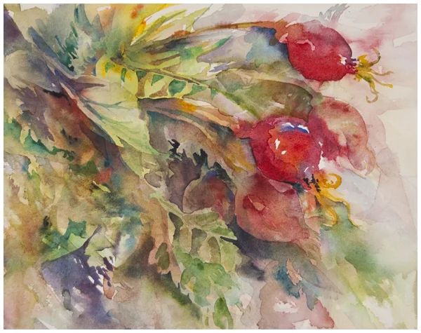 "Withered" watercolour painting (Rose Hips)