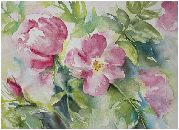 Video Demonstration: Wild Roses in Watercolor