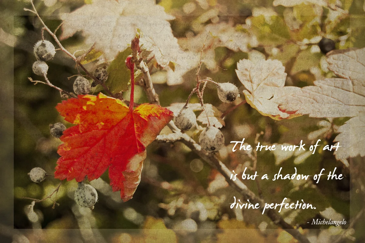 Texture Tuesday: Leaves & Berries