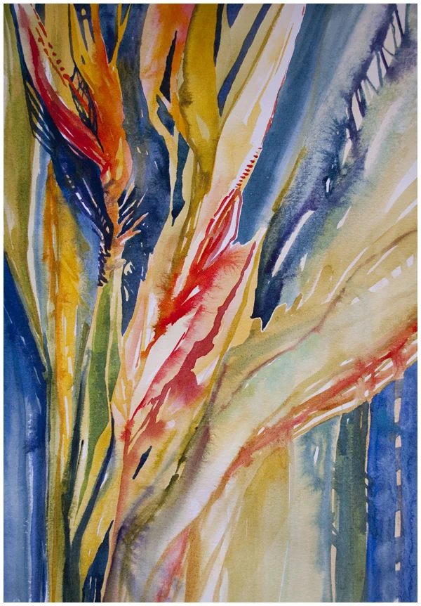 Fine Feathers: New Watercolor Painting