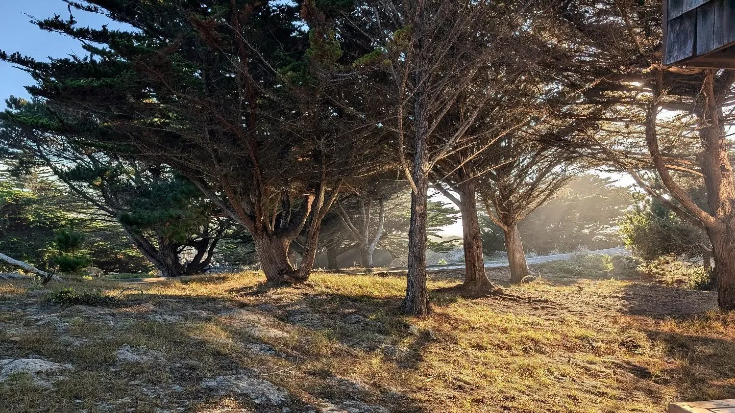 Arrived at Asilomar today for my Pacific Grove/Monterey watercolor workshop with @steveputtrich The light is so beautiful here! Looking forward to a rich week of painting and connection with the artists in our group, sharing meals and making memories