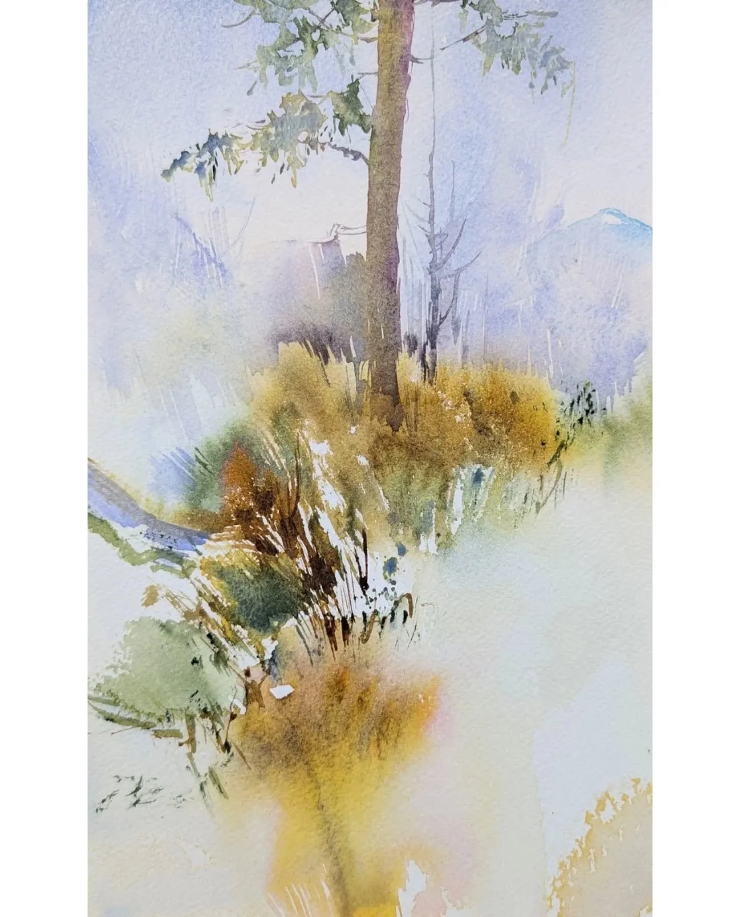 My goal for the last weeks of this year is to spend restful time walking in the forest. It's truly my greatest inspiration, being in the tangle of trees, brambles and grasses. And I love seeing how often it crops up as a theme in my work. 
.
Sky Dire