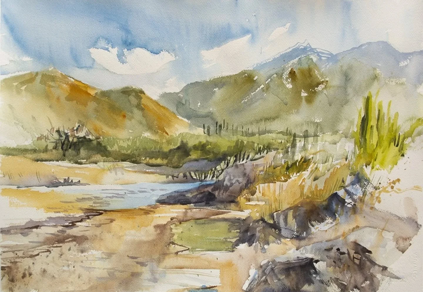 I believe in choosing colours instinctively. It's amazing what happens when something inside says, "add this," and the colour doesn't make sense, and yet works beautifully and makes the painting come alive. 
.
If you're in that place of sec