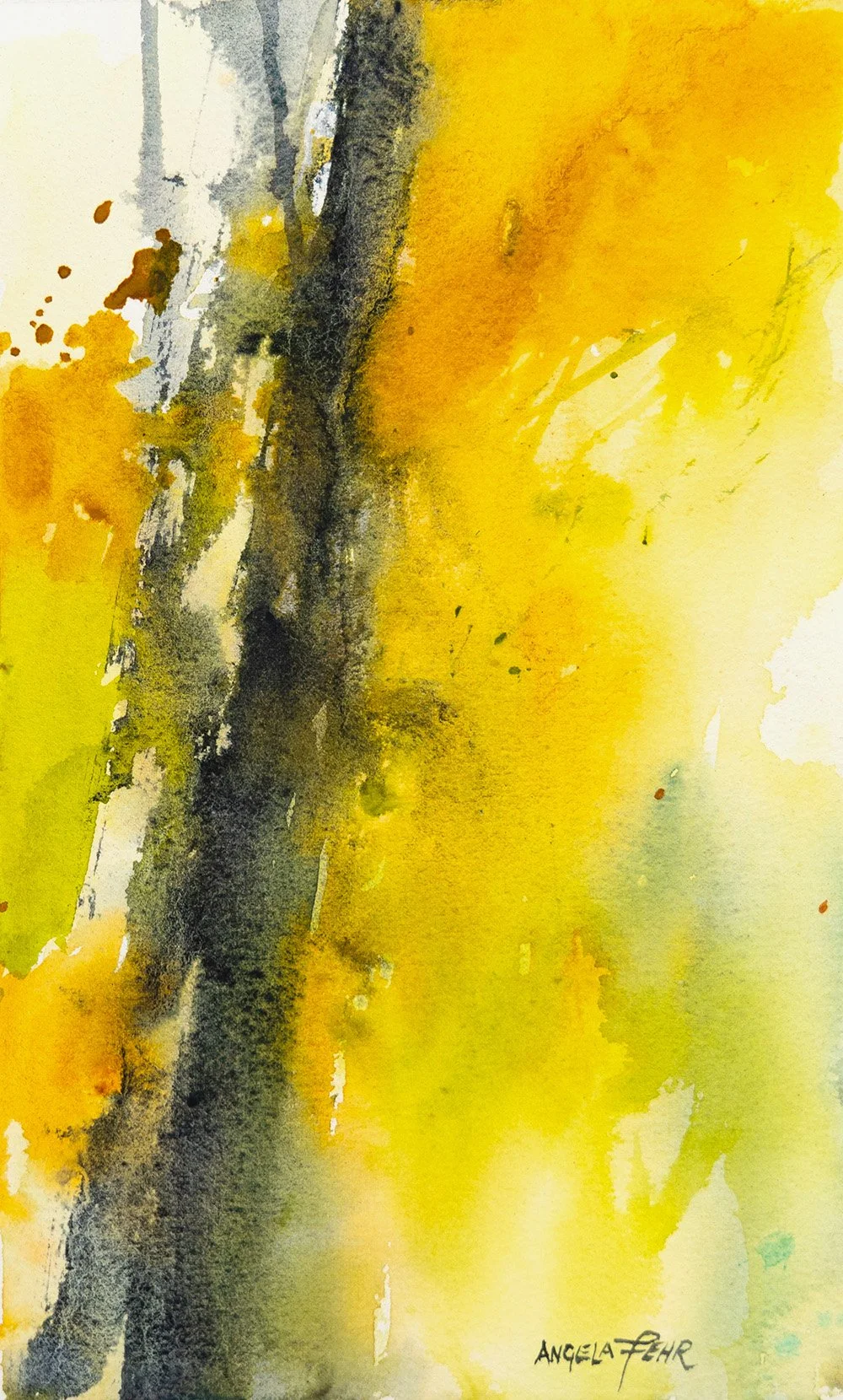 illuminated tree 1000w.jpg