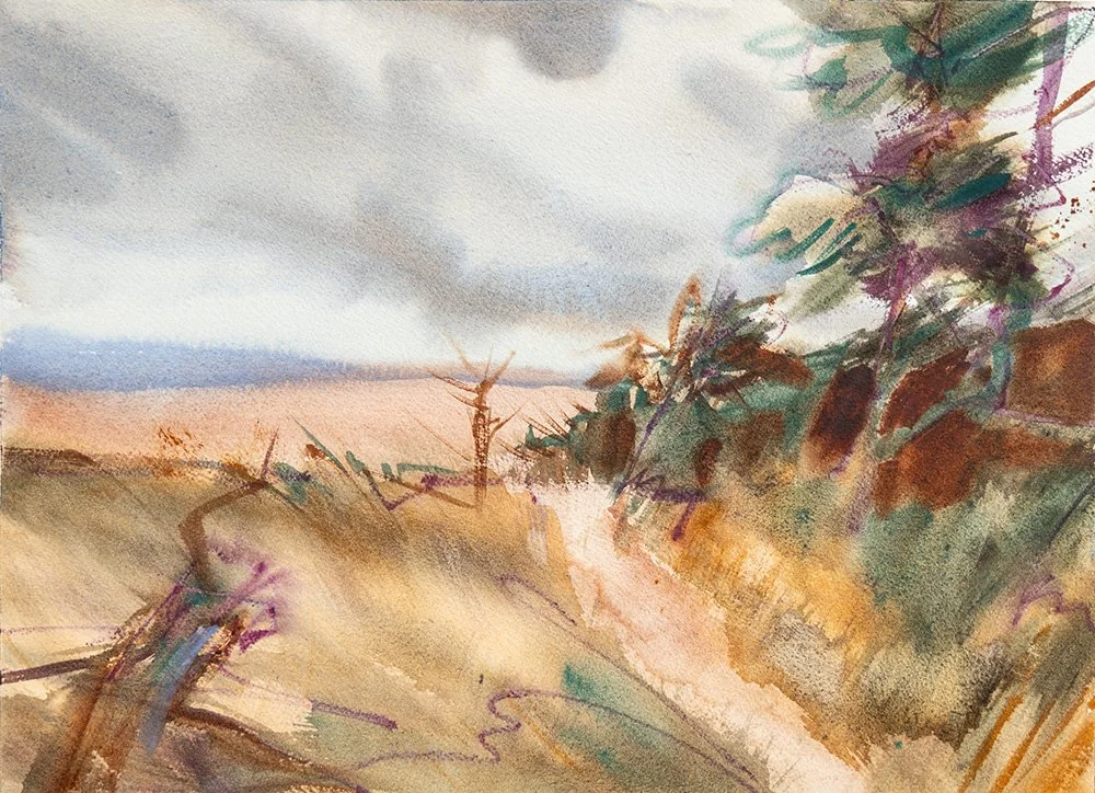 Dunes in Wind