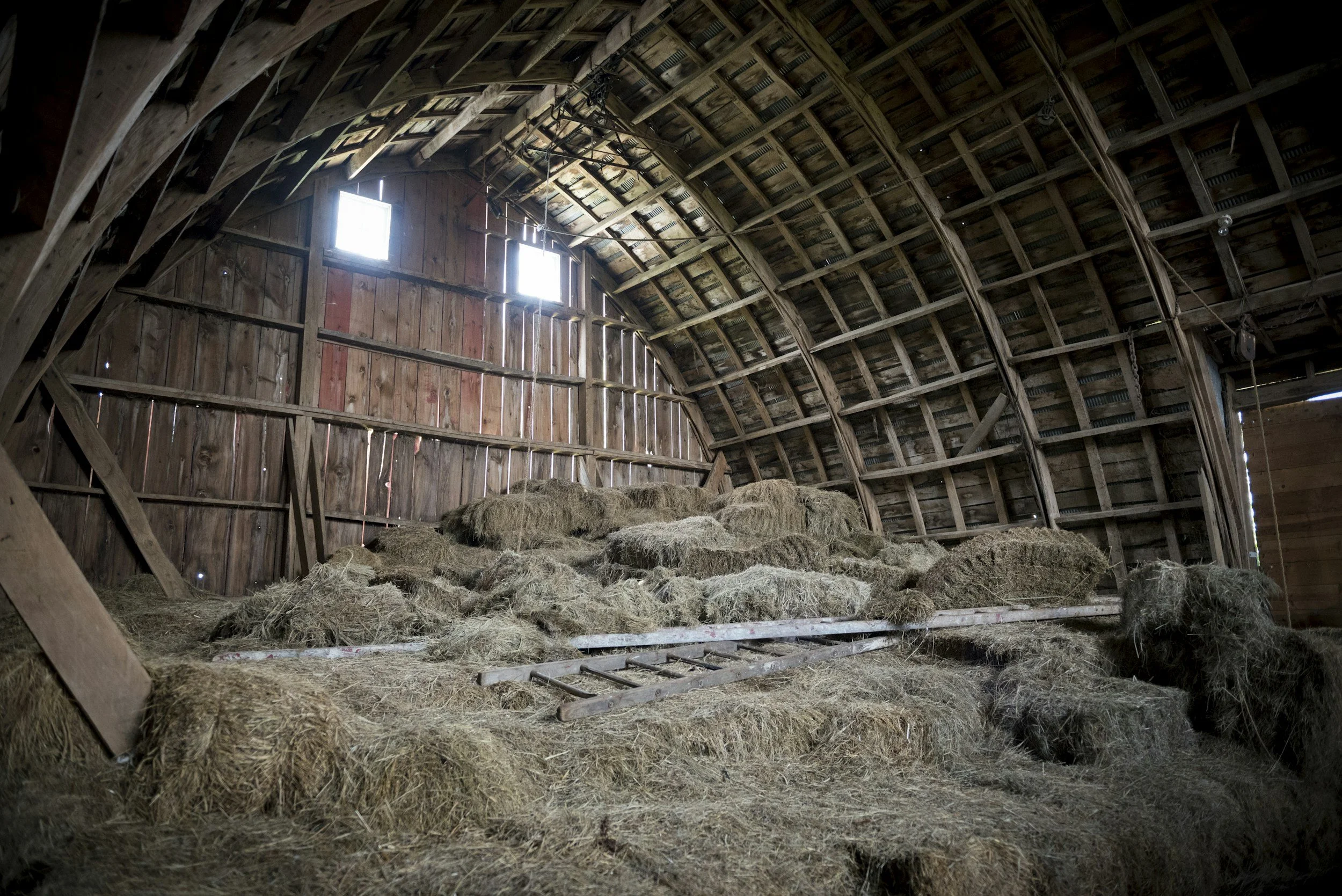 The Hay's In The Barn: Build Unshakeable Confidence