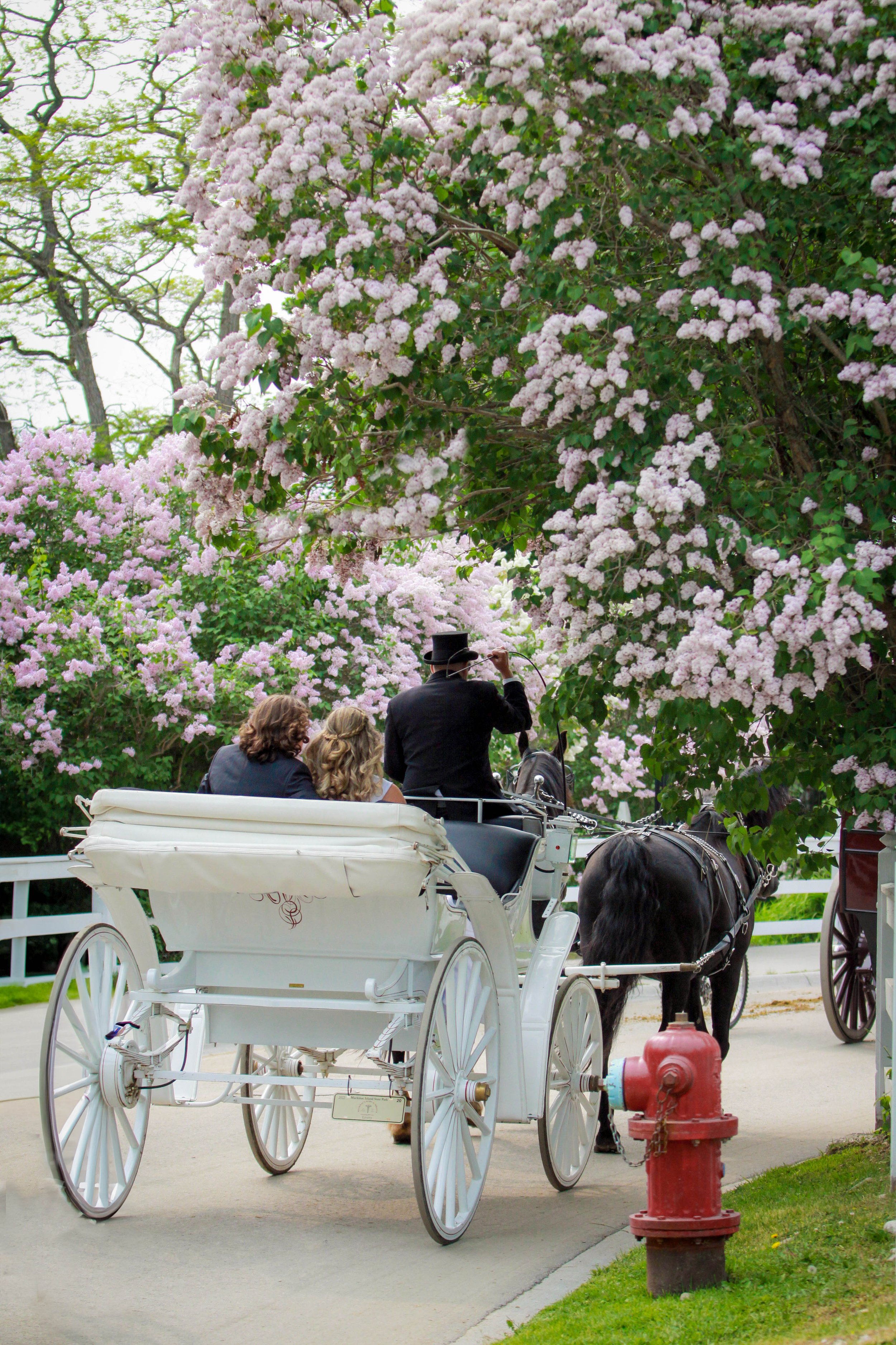 3a LIlac Wedding Mackinac.jpg