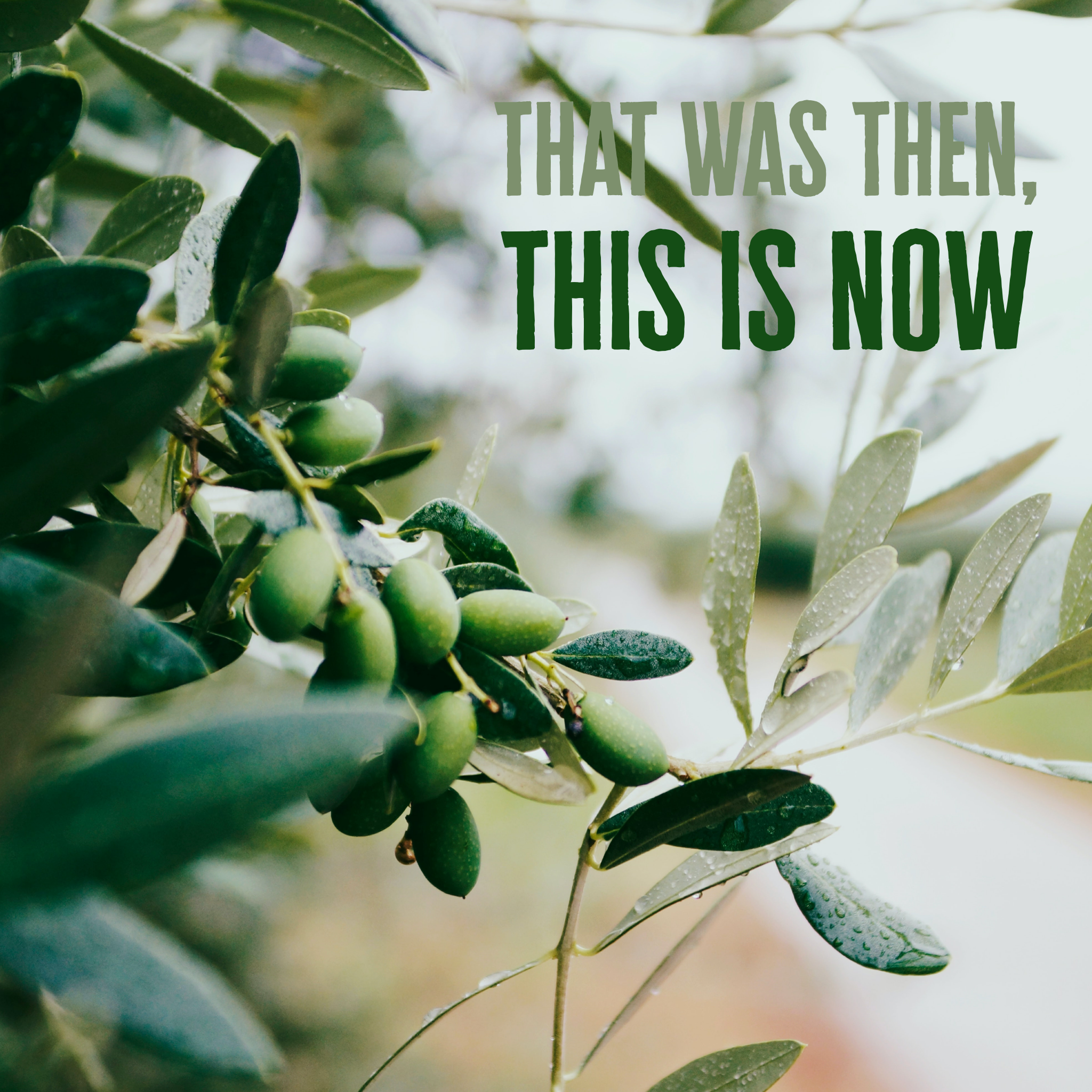 That Was Then, This Is Now