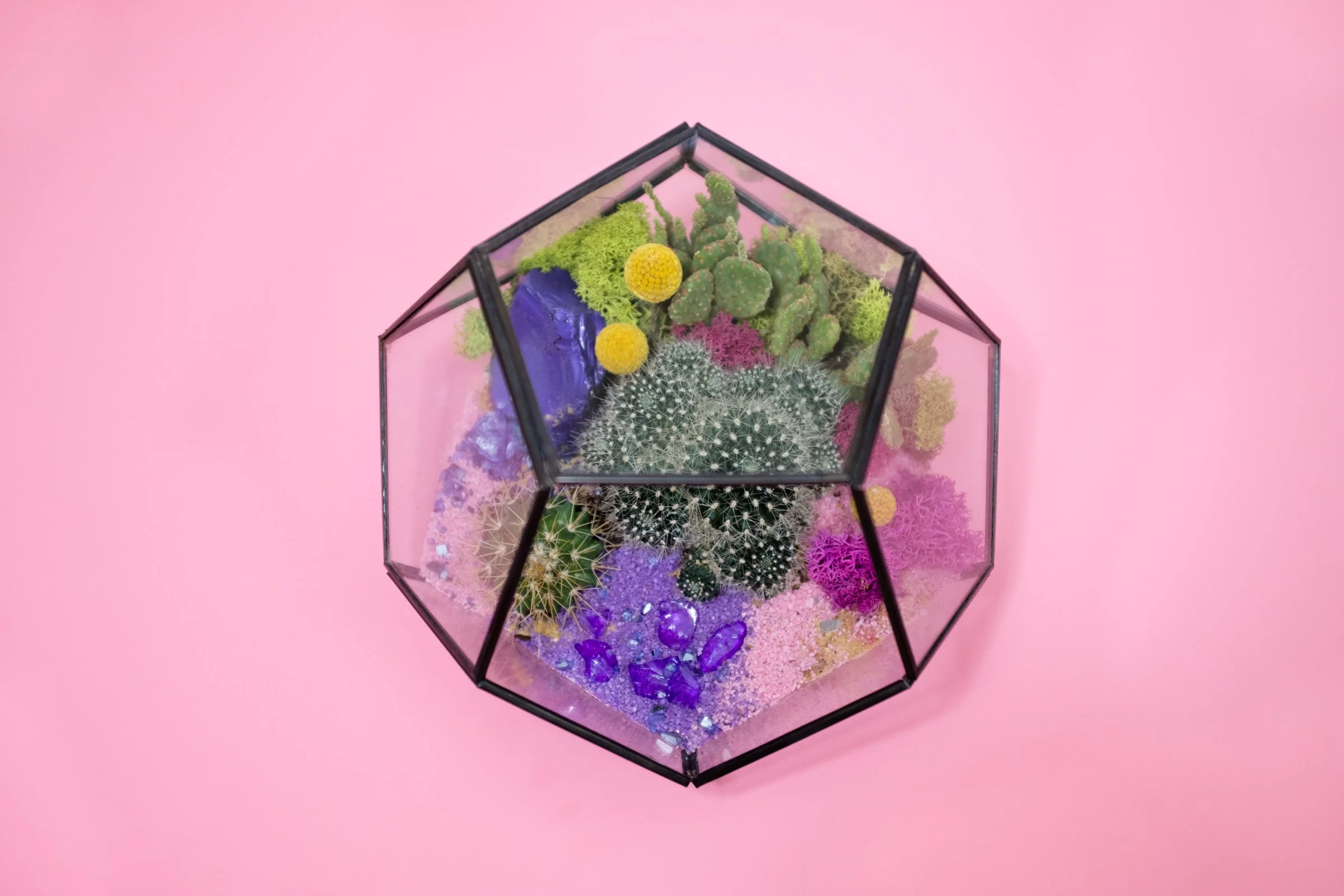 Terrarium Build (Middle School Girls)