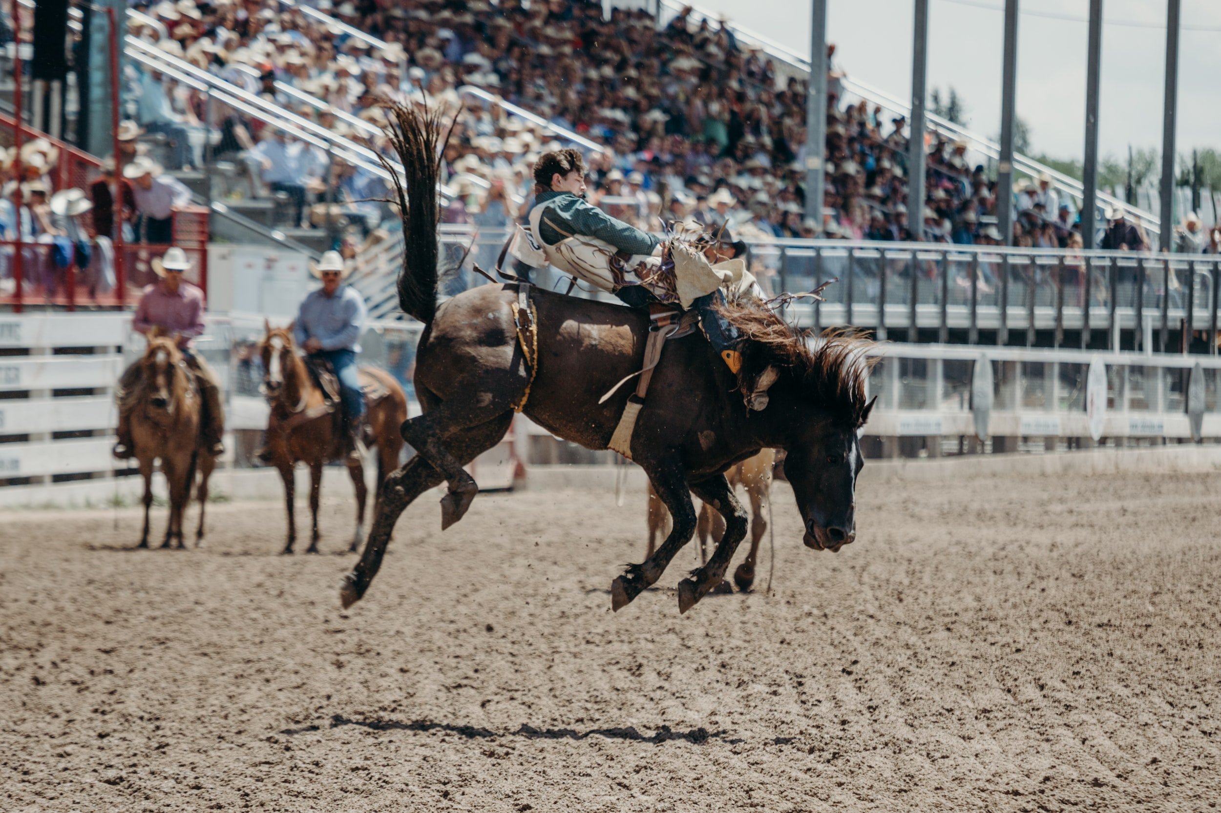 Louisa StudentLife Orange County Rodeo