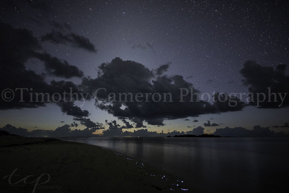 Bush Key Bioluminescent Beach Walk