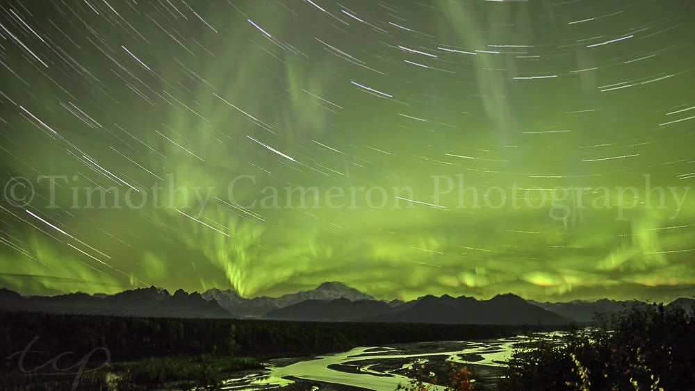 Denali South View 2018