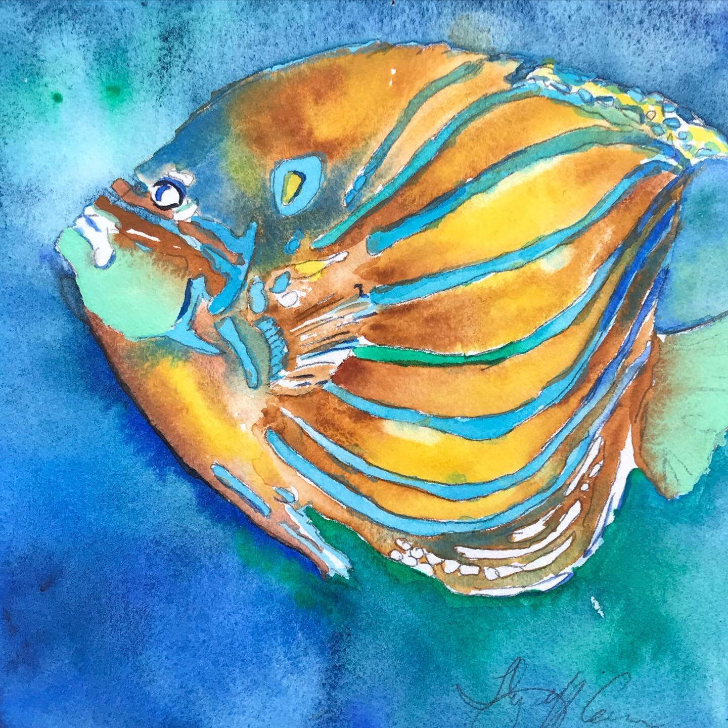 This beautiful fish in blues and greens is a winner!

#watercolorpainting #watercolor #watercolorsketch #watercolorjournaling #tropicalfish #watercoloursketch #watercolourart #watercolourpaint #watercolorpainting #watercolourpainting