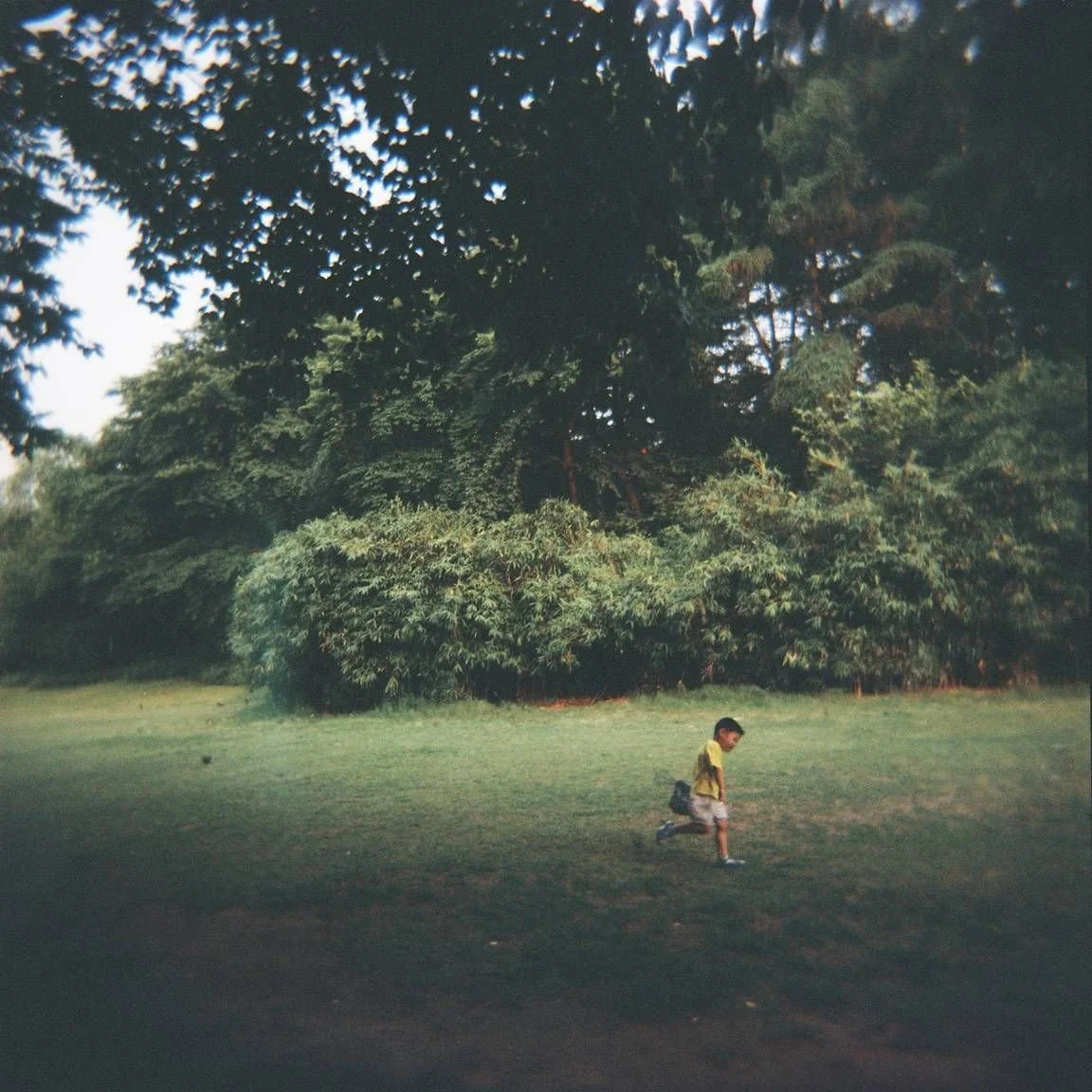 Lomography - 한국의 젊은 사진작가_ 안희정 Nina Ahn 인터뷰.jpeg