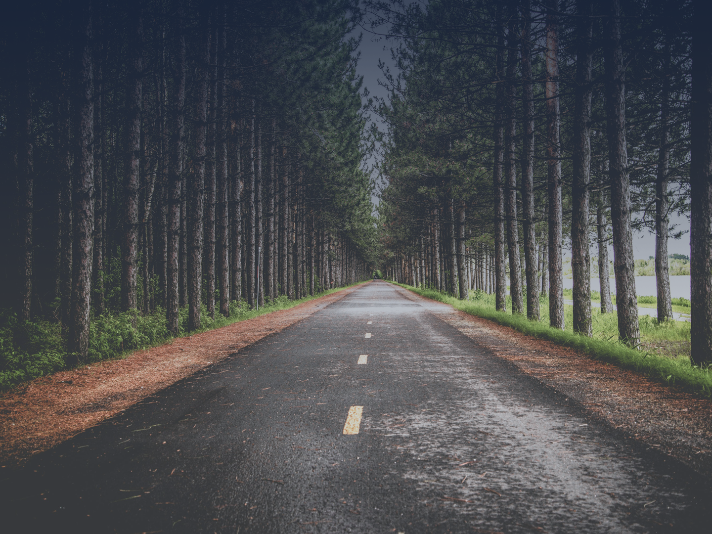 21_Q1_038_Meditations-on-Mission-RPCwebsite_bkg.png
