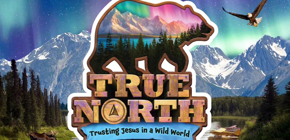 RPC True North VBS