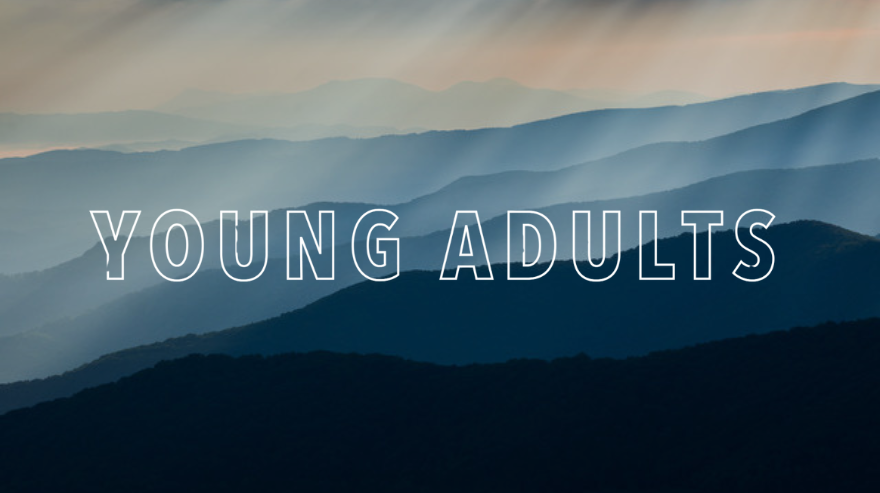 12-CONNECT-Groups-880x493-YoungAdult.png