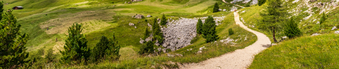 Client Services Web Banner.png