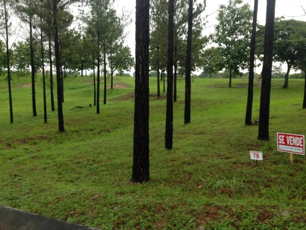15826988_10e165.jpg