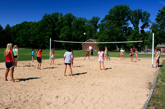 Volleyball.png