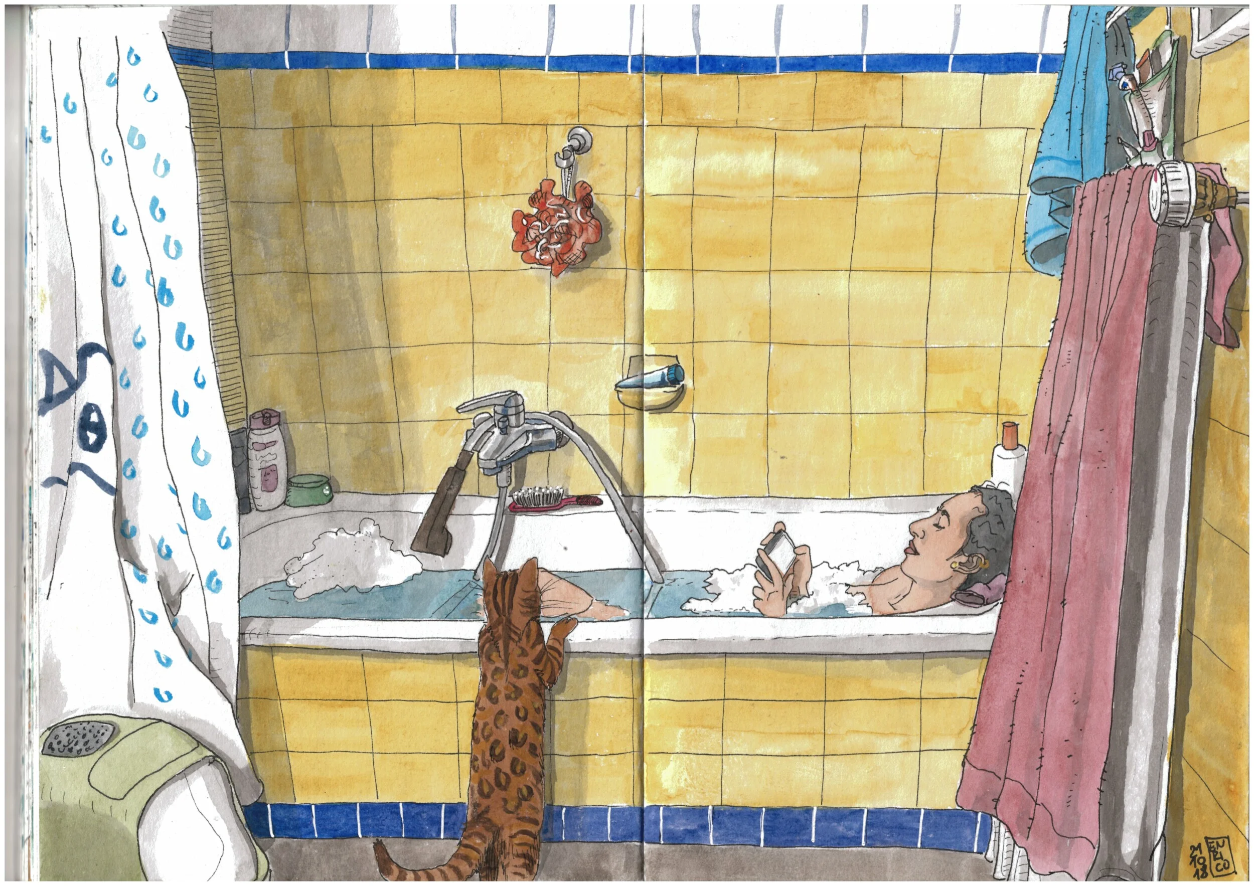 Bathroom with cat