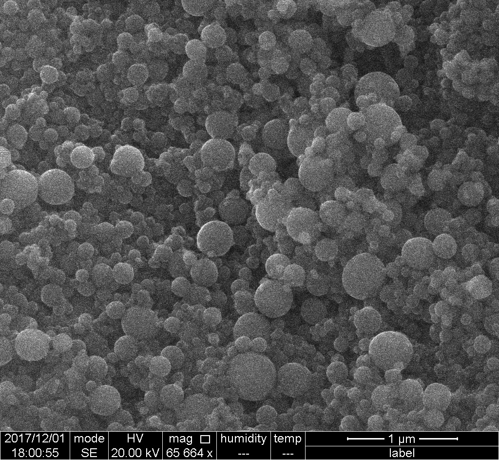 SEM-Batch-23-12-2018-1.jpg