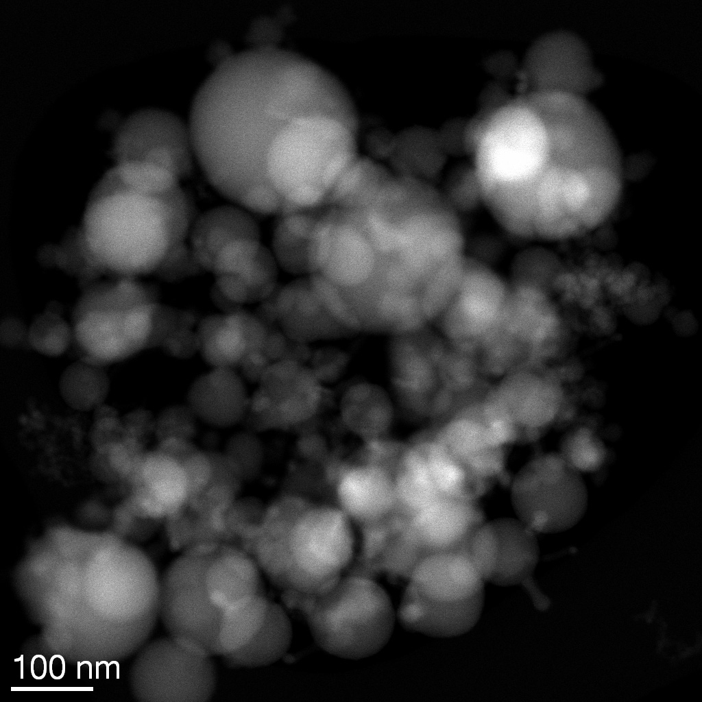 TEM-Batch-23-12-2018-1.jpg