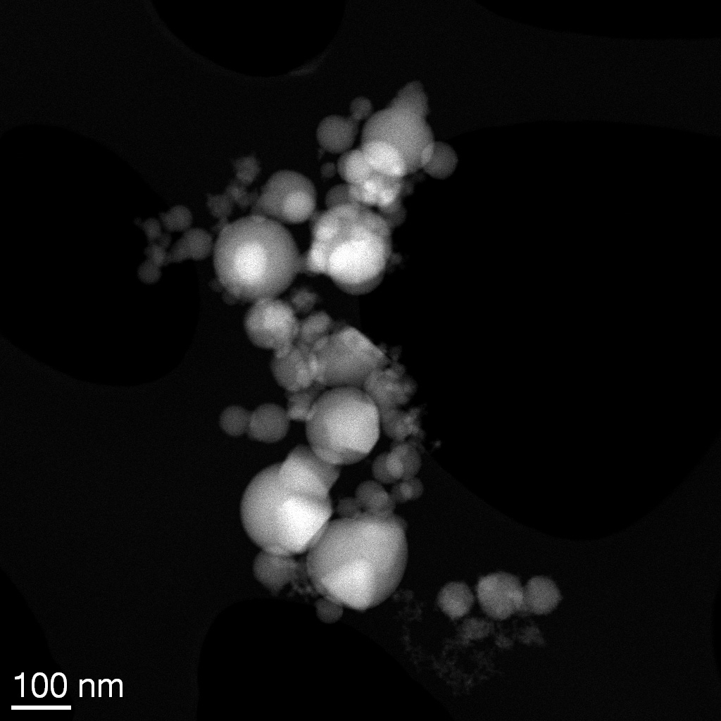 TEM-Batch-23-12-2018-2.jpg