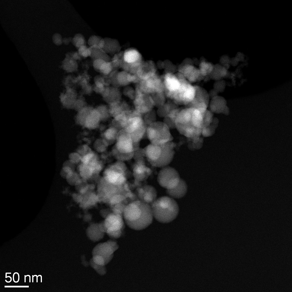 TEM-Batch-23-12-2018-5.jpg